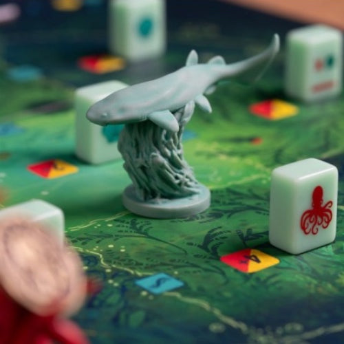 Kelp: Pulpo Vs Tiburón