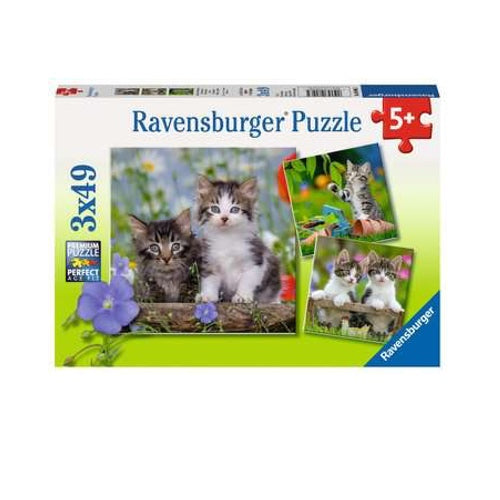 Puzzle 3x49 piezas Gatos